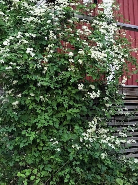 1 rok · 23 m² i Trångsund – bild 8