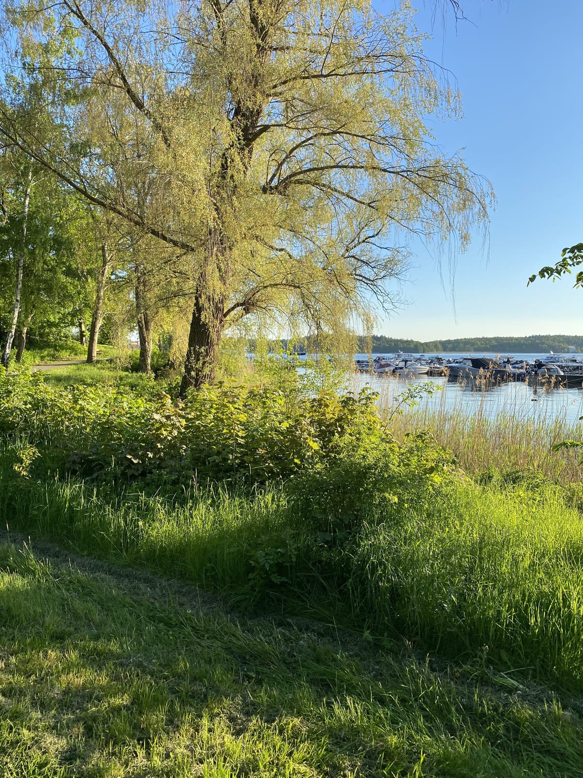2 rok · 60 m² i Lidingö – bild 2