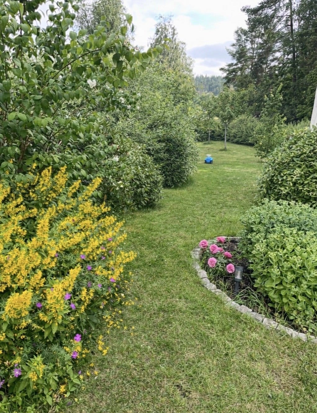 7 rok · 134 m² i Tving – bild 4