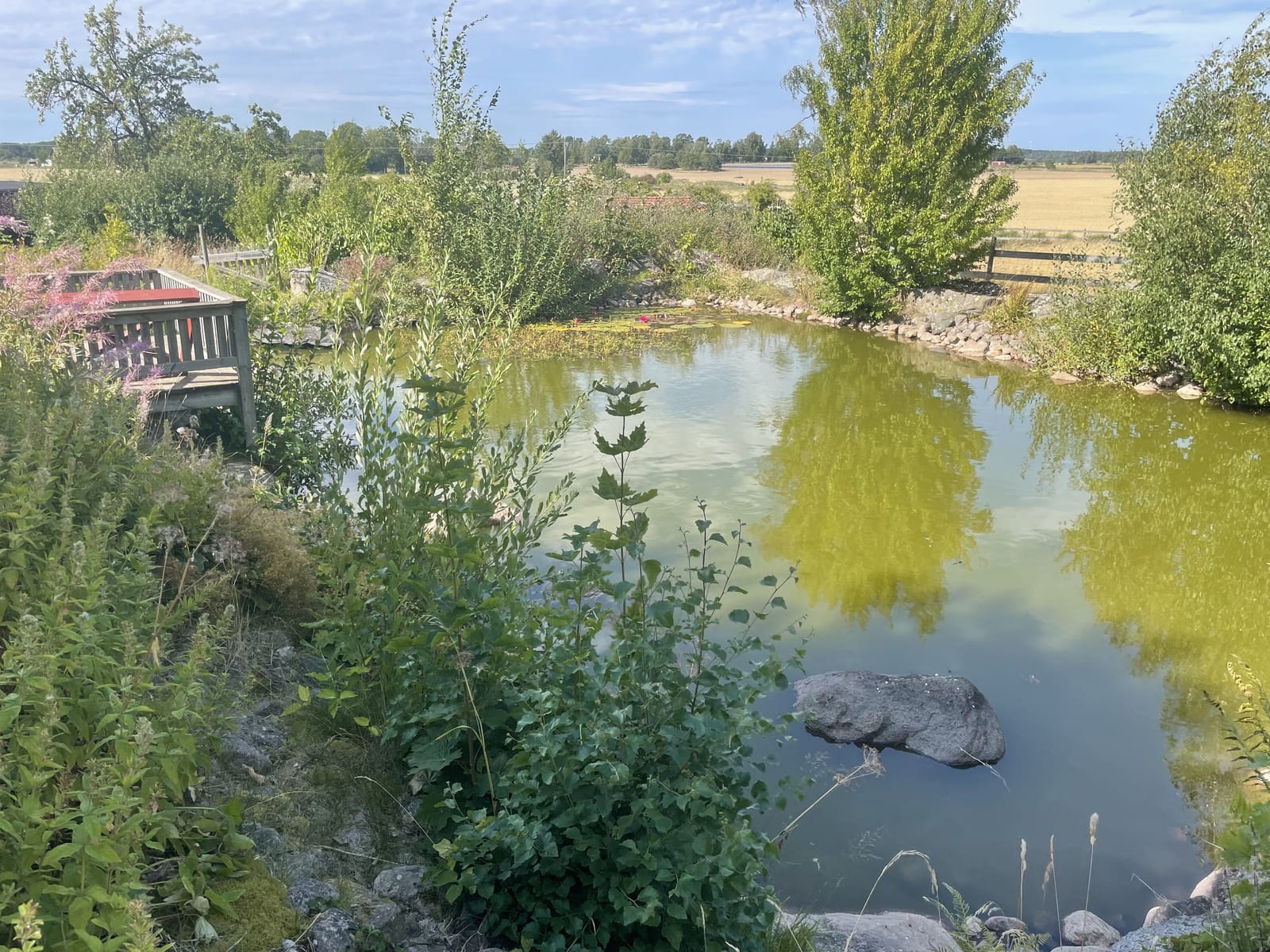 5 rok · 200 m² i Tidan – bild 8
