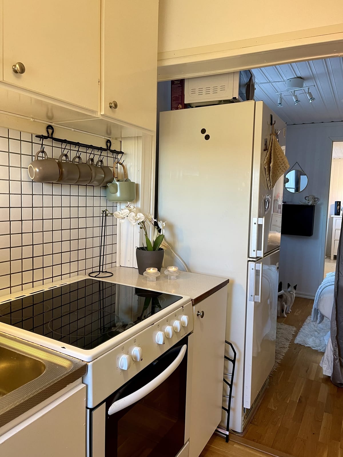 2 rok · 28 m² i Skara – bild 5