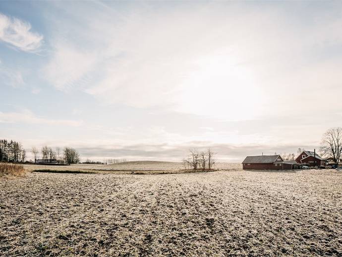 Forsby Nyborg 1