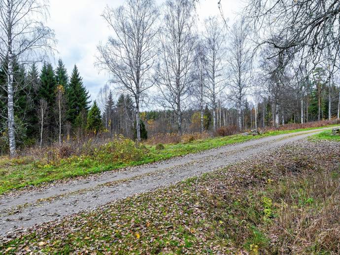 SUNNE EDSBJÖRKE 1:101 