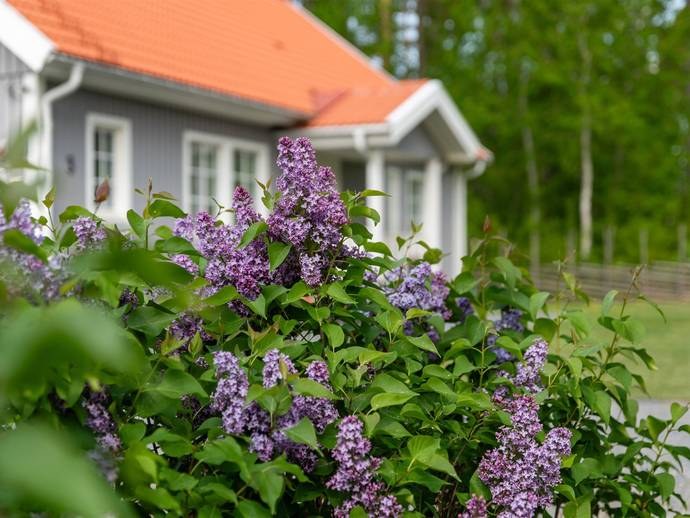 7 rok · 163 m² · Dragontorpsvägen 3