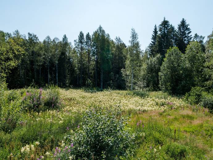 Kolbacksvägen 26