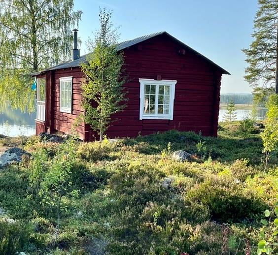 1 rok · 32,4 m² · Grycken 680