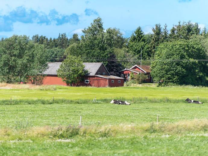 4 rok · 73 m² · Håletorp 11