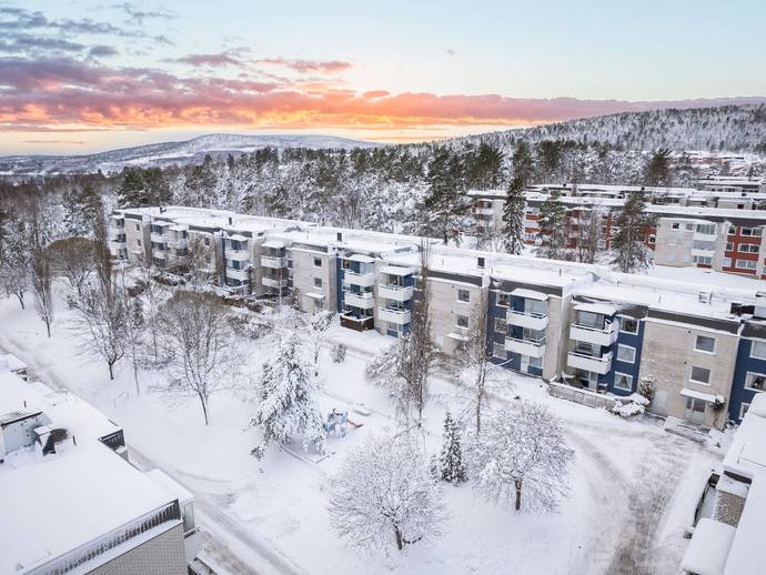 1 rok · 38,3 m² · Västra Ringvägen 98