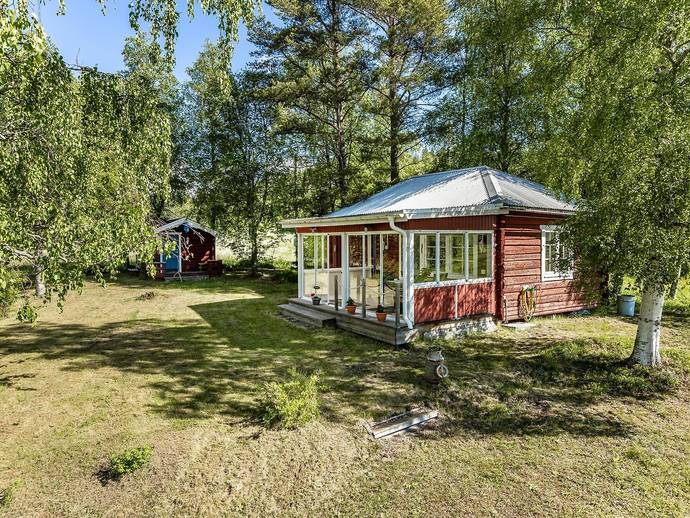 2 rok · Alderskog 210