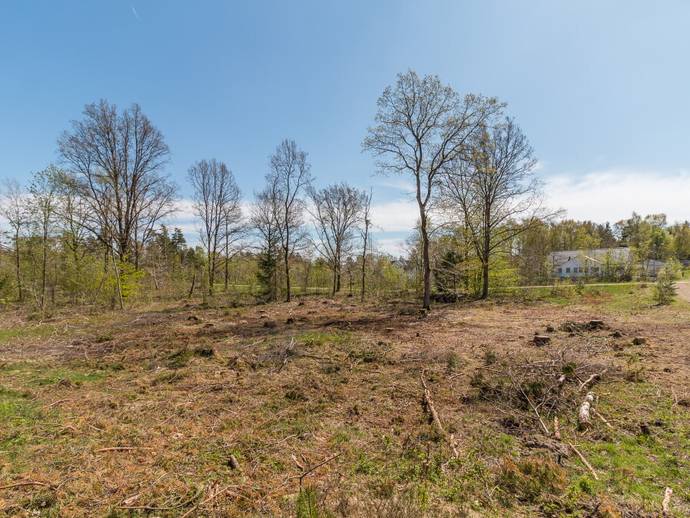 Dovhjortsvägen 13