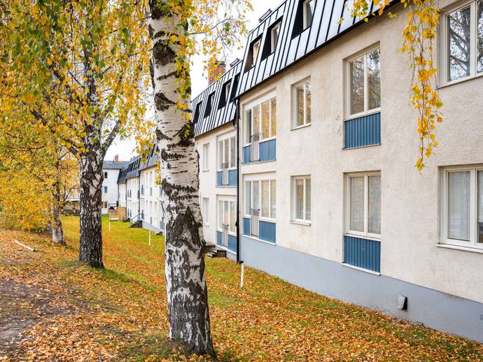 3 rok · 74,5 m² · Backgränd 2F