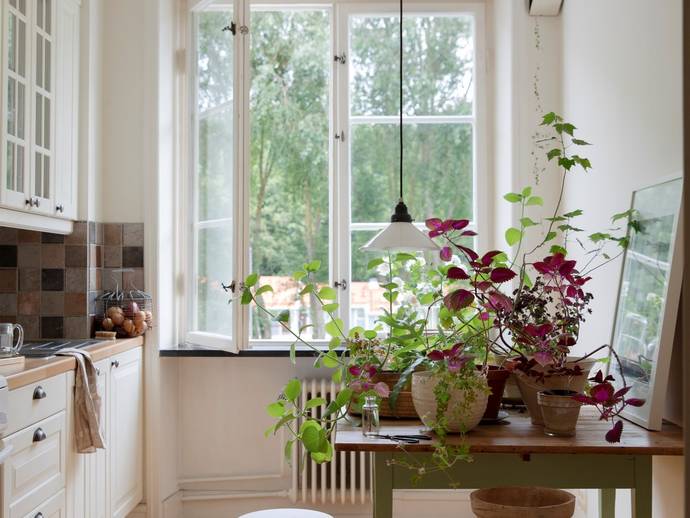 1,5 rok · 42 m² · Mariedalsvägen 21