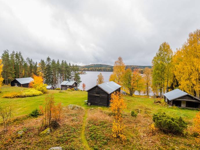 3 rok · Hissjön 246