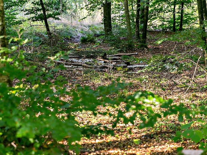 5 rok · 85 m² · Gammalstorp Tjädervägen 1