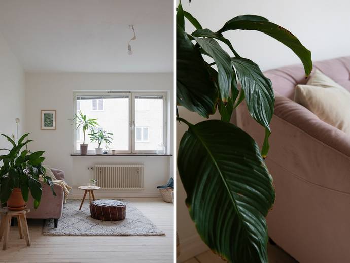 2 rok · 51,5 m² · Bragegatan 5C