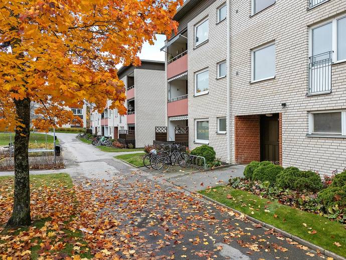 1 rok · 36 m² · Pinnmogatan 20