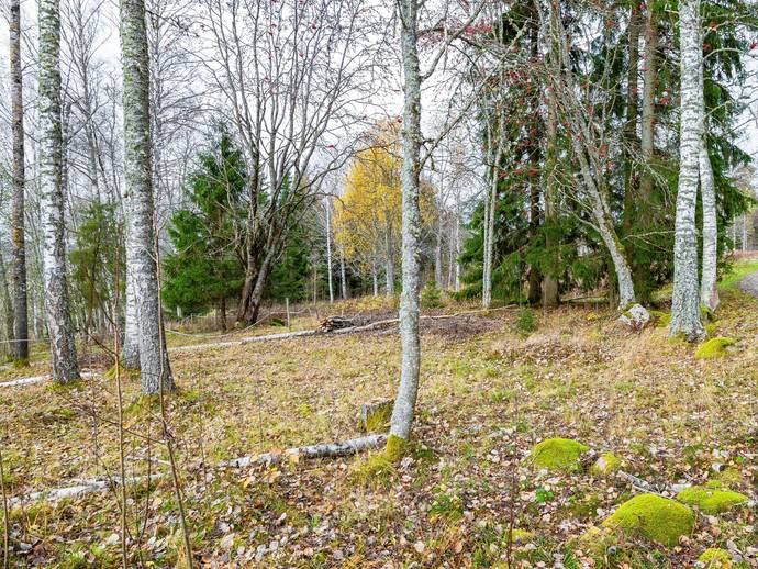 SUNNE EDSBJÖRKE 1:100 