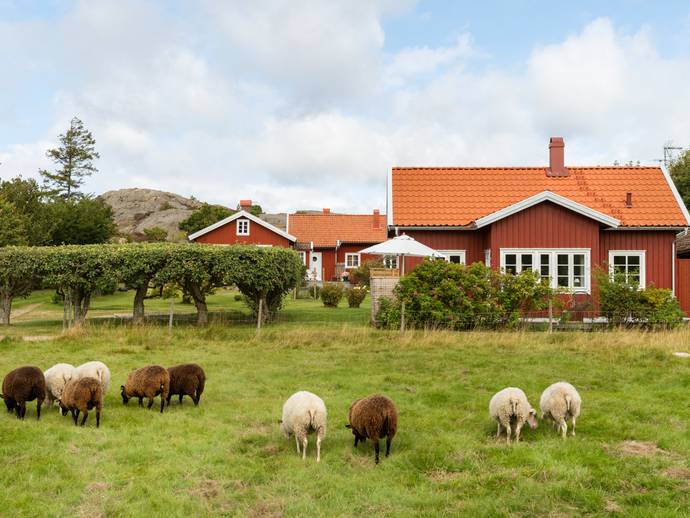 144 m² · Skaftö Koskär 372