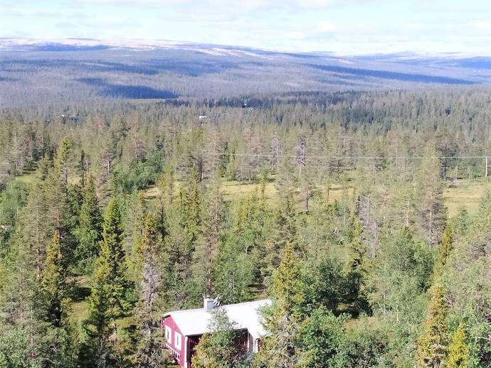 3 rok · 37 m² · Ekorrvägen 3