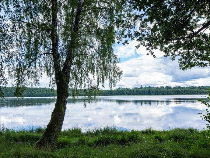 2 rok · 30 m² · Simmesjö, Bäckadalsvägen Stuga 26