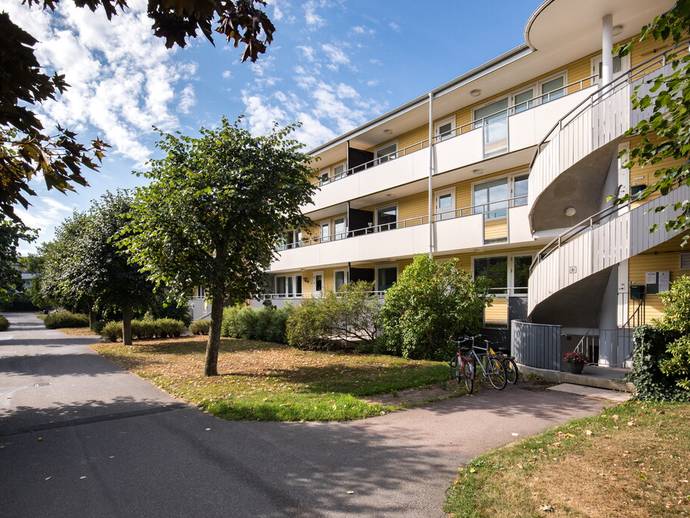 1 rok · 45,5 m² · Guldringen 8