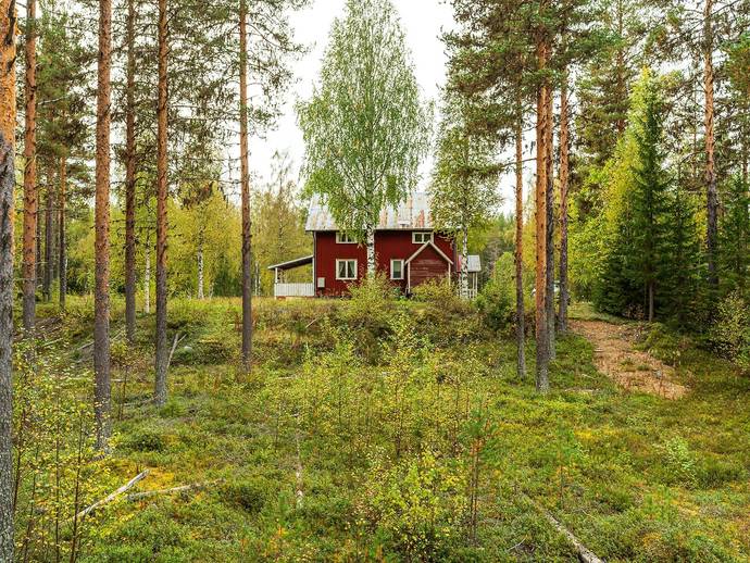 6 rok · Selsta 116