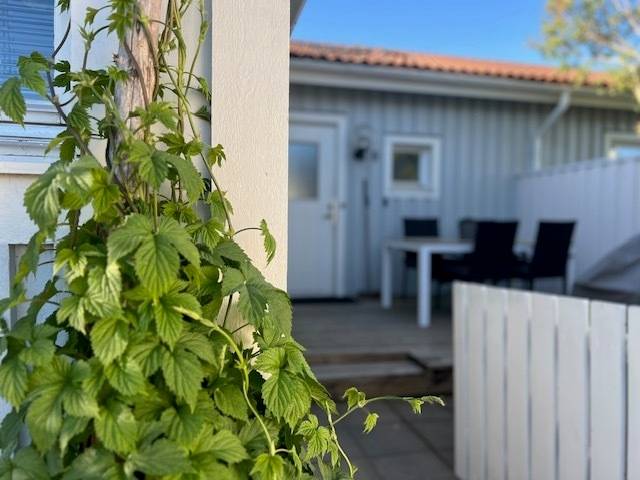 4 rok · 99,5 m² · Finkvägen 8