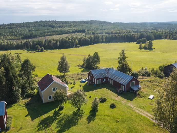 6 rok · Bjurfors 107
