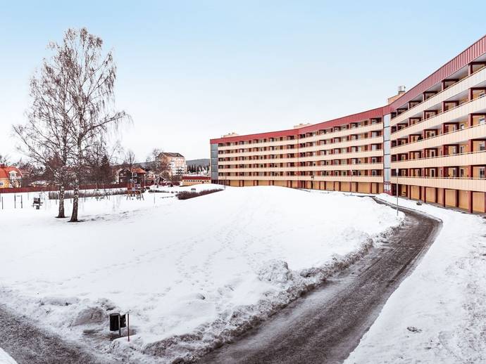 1 rok · 49,5 m² · Ringen 6 A