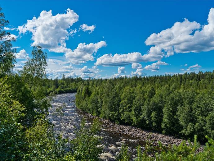 3 rok · 75 m² · Landfors 6