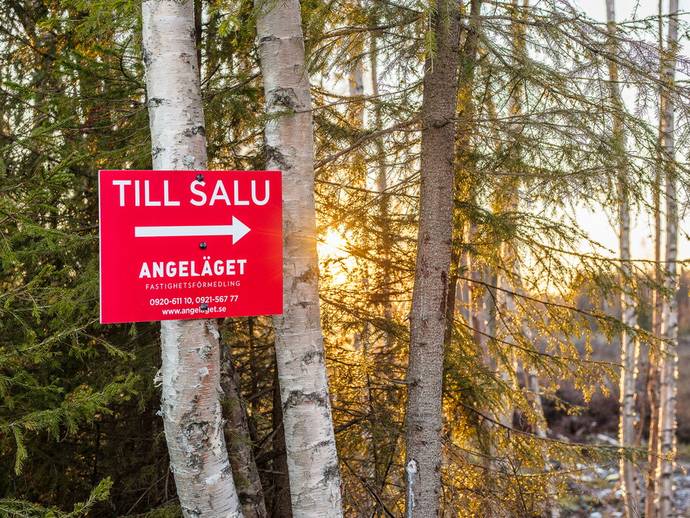 Oppibysvägen