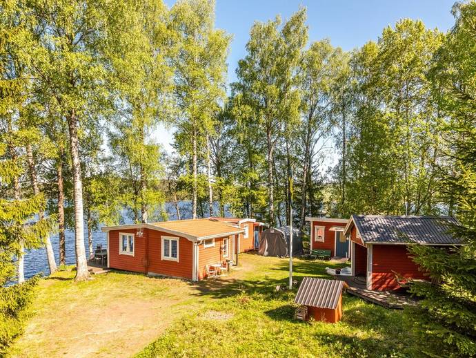 5 rok · Asketveten Sågudden 5