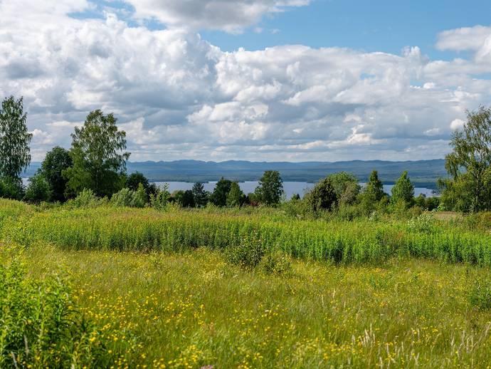 Tomt Oljonsbyn Orsa