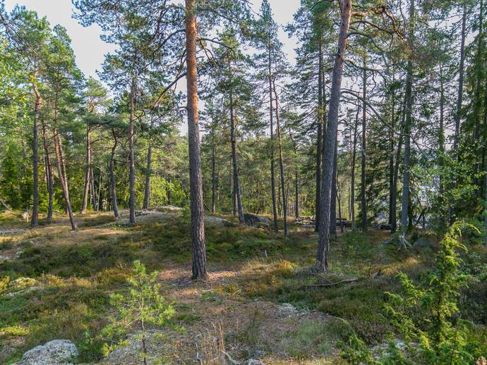 Blockvägen 3