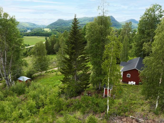 4 rok · 60 m² · Lien 343