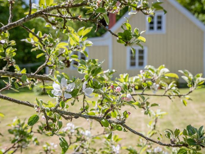 5 rok · 70 m² · Stubbemålavägen 20