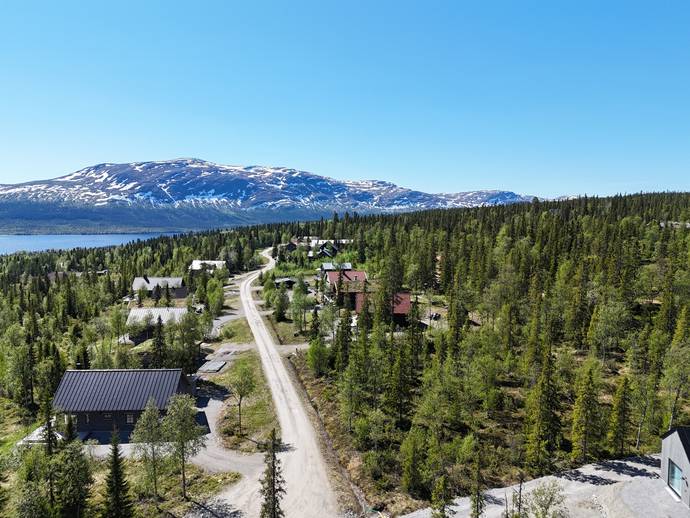 Ottsjö 1:349
