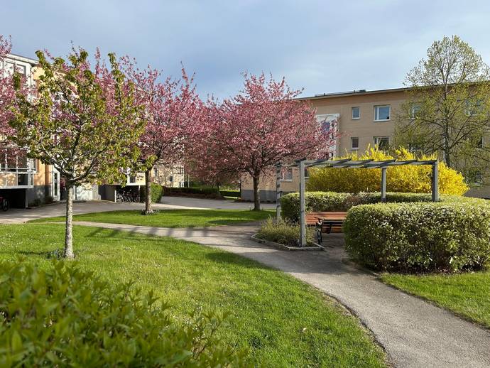 3 rok · 81 m² · Runebergsgatan 66