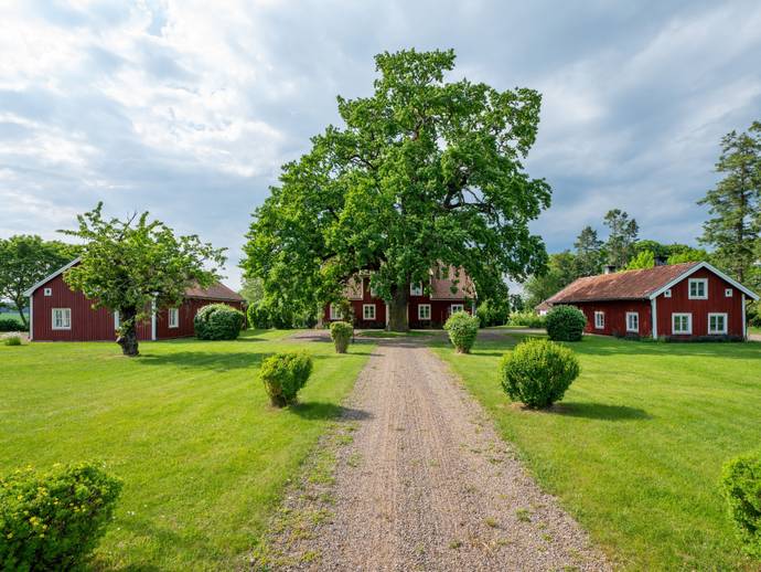 8 rok · Rogslösa 211, Prästgården