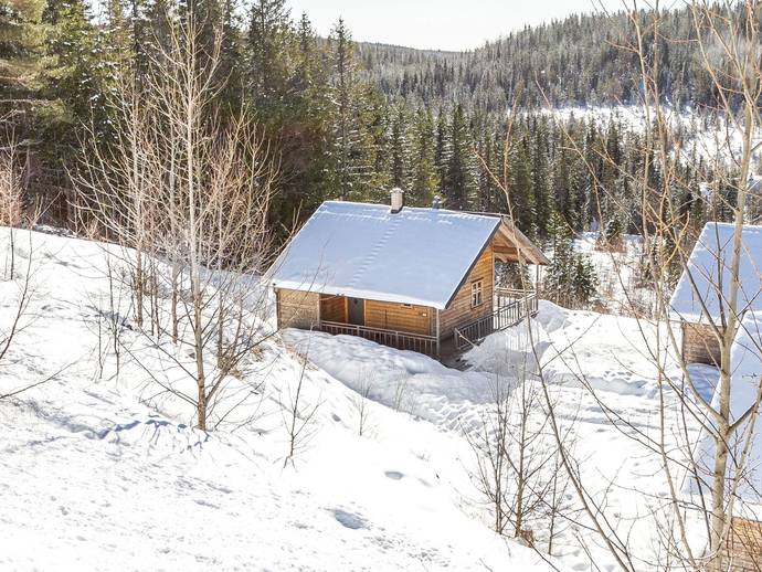 3 rok · 62 m² · Mattila 60